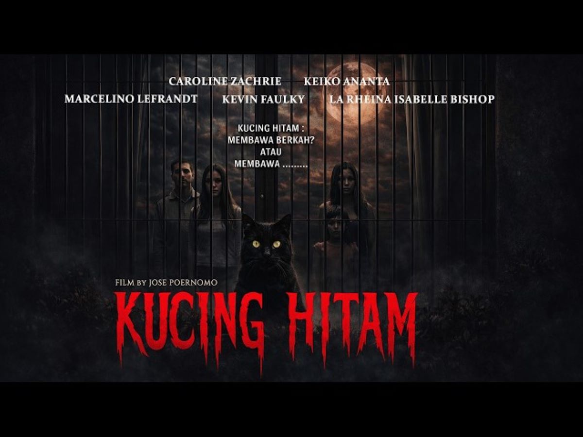 Kucing Hitam