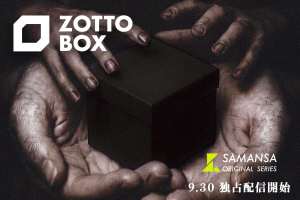 Zotto Box artwork